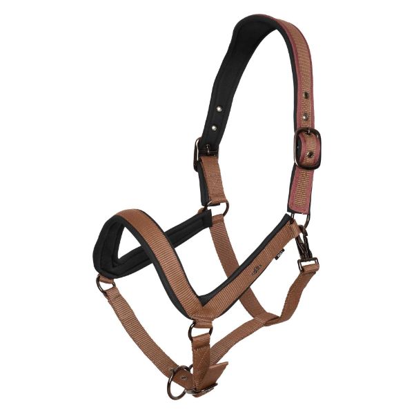 Picture of HV Polo Headcollar HVPEssential Fox