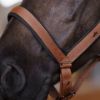 Picture of HV Polo Headcollar HVPEssential Fox