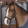 Picture of HV Polo Headcollar HVPEssential Navy