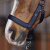 Picture of HV Polo Headcollar HVPEssential Navy