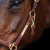 Picture of HV Polo Headcollar HVPLegacy Brown