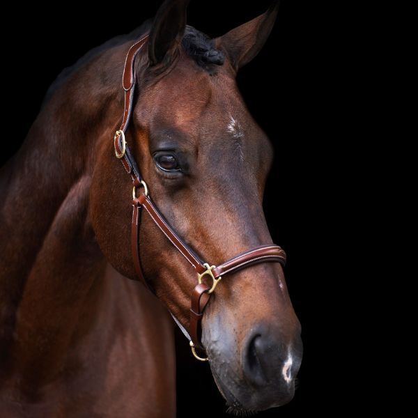 Picture of HV Polo Headcollar HVPLegacy Brown