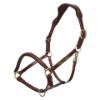 Picture of HV Polo Headcollar HVPLegacy Brown