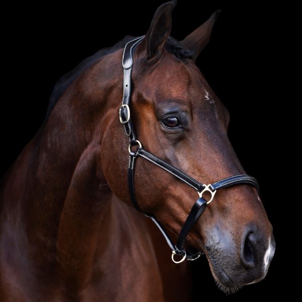 Picture of HV Polo Headcollar HVPLegacy Black