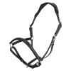 Picture of HV Polo Headcollar HVPLegacy Black