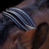 Picture of HV Polo Headcollar HVPLegacy Black