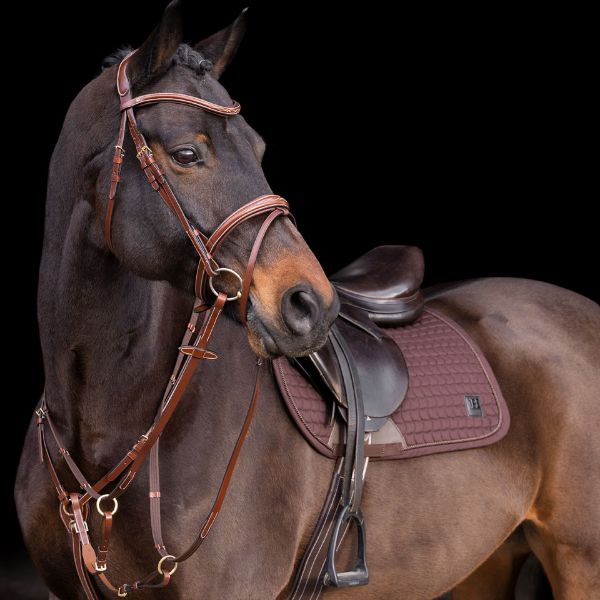 Picture of HV Polo Martingale HVPLegacy Brown