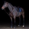 Picture of HV Polo Martingale HVPLegacy Brown