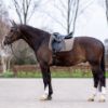 Picture of HV Polo Saddlepad HVPEssential DR Stone Full