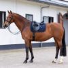 Picture of HV Polo Saddlepad HVPEssential DR Navy Full