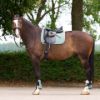 Picture of HV Polo Saddlepad HVPEssential DR Greenery Full