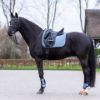 Picture of HV Polo Saddlepad HVPEssential DR Dark Mist Blue Full