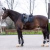 Picture of HV Polo Saddlepad HVPEssential DR Black Full