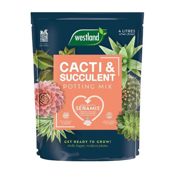 Picture of Westland Cacti & Succulent Potting Mix Peat Free 4L