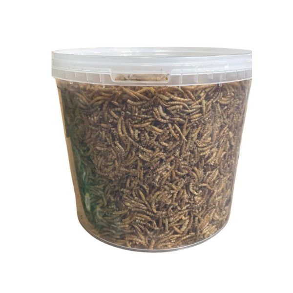 Picture of Rokers Wild Bird Food Tub - Mealworms 1kg