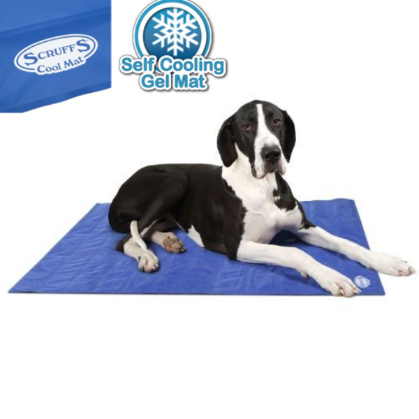 Picture of Scruffs Cooling Mat Blue 120x75cm XL