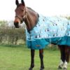 Picture of Hy Equestrian Ay Up Duck 50 Turnout Rug Blue / Turquoise