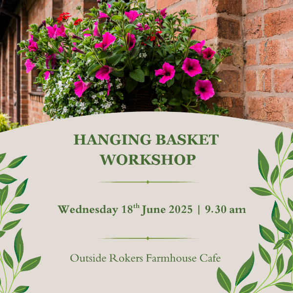 Picture of Hanging Basket Workshop - Wednesday 18th June 2025